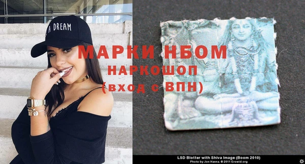 прущие крисы Магадан