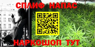 гашик Апшеронск