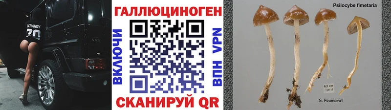 где продают наркотики  Белгород  shop телеграм  Галлюциногенные грибы MAGIC MUSHROOMS 