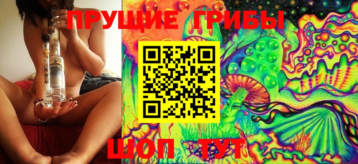 Псилоцибиновые грибы MAGIC MUSHROOMS  Псилоцибиновые грибы мухоморы  Белгород  закладка  Вход с VPN 