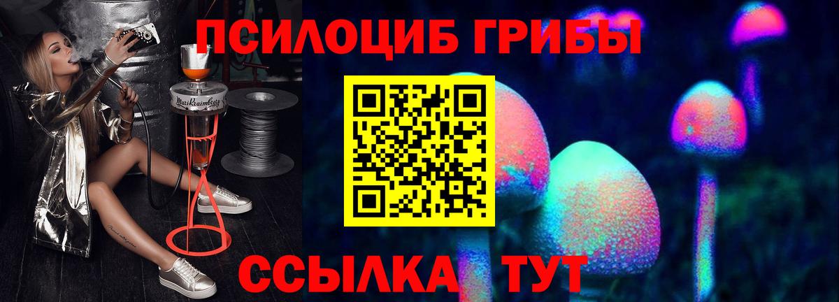 Галлюциногенные грибы прущие грибы Белгород